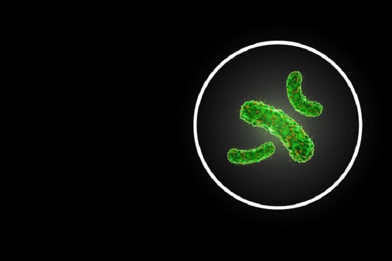 Helicobacter pylori là tác nhân chính gây viêm loét dạ dày