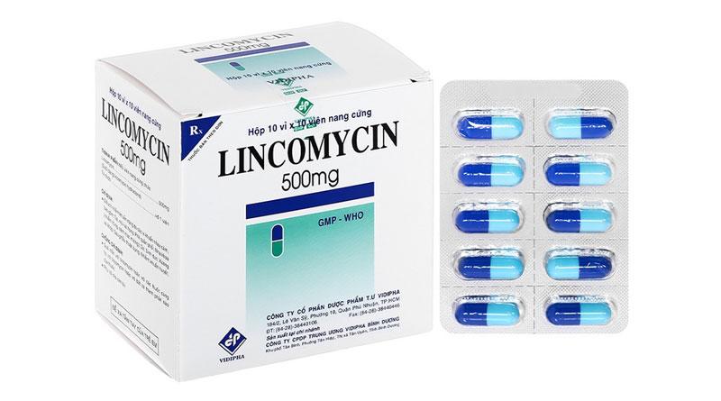 Lincomycin 500mg bào chế theo dạng viên nang cứng 